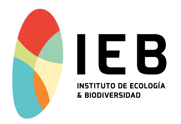 Logo IEB