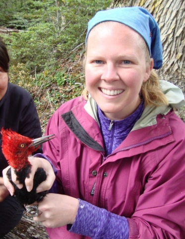 Amy Wynia holding a male Magellanic Woodpecker on Navarino Island, Chile, February 2015.  Photo by Natalia Jordan