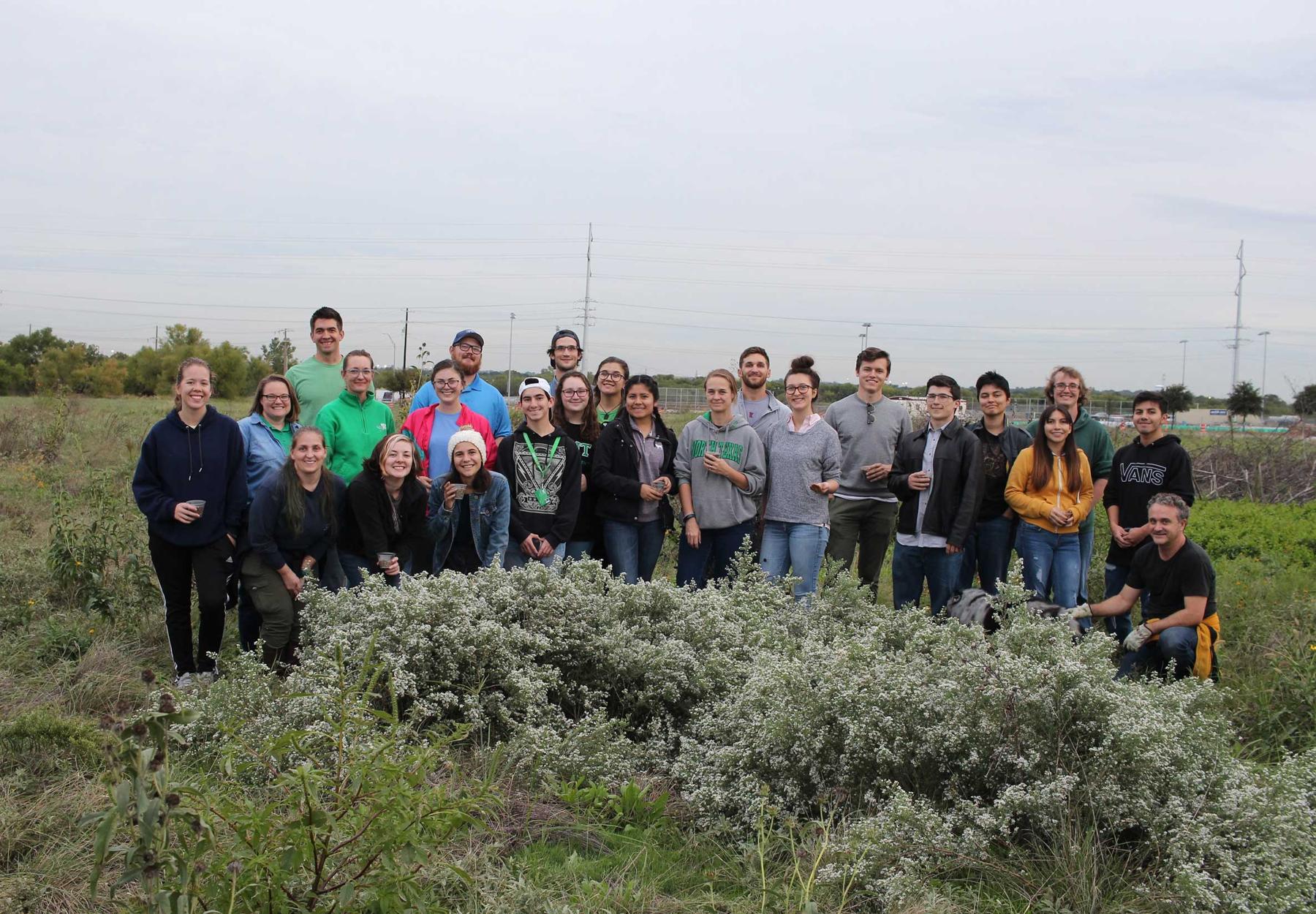 Pollinative Prairie